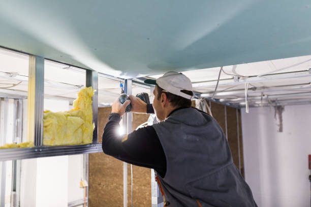 Best Blown-in Insulation in Prince George, VA