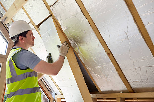 Best DIY Insulation Kits and Guidance in Prince George, VA