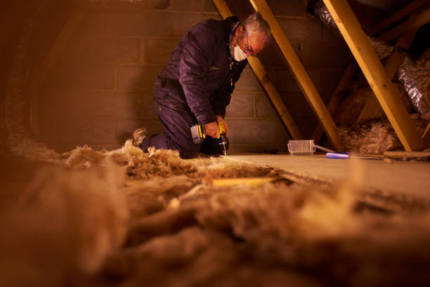 Best Eco-Friendly Insulation in Prince George, VA